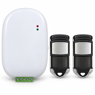 OEM RV12-5 kepenk alıcısı ve iki uzaktan kumanda
