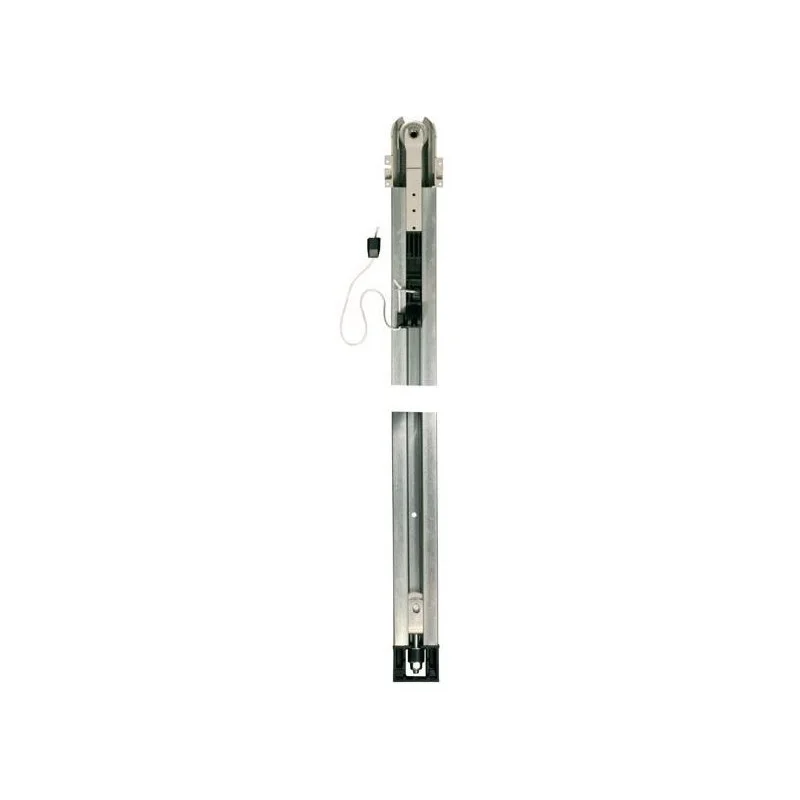 Somfy Kayışlı Ray 2,90 m